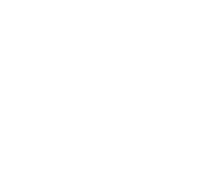 Lincoln Public Library Logo White